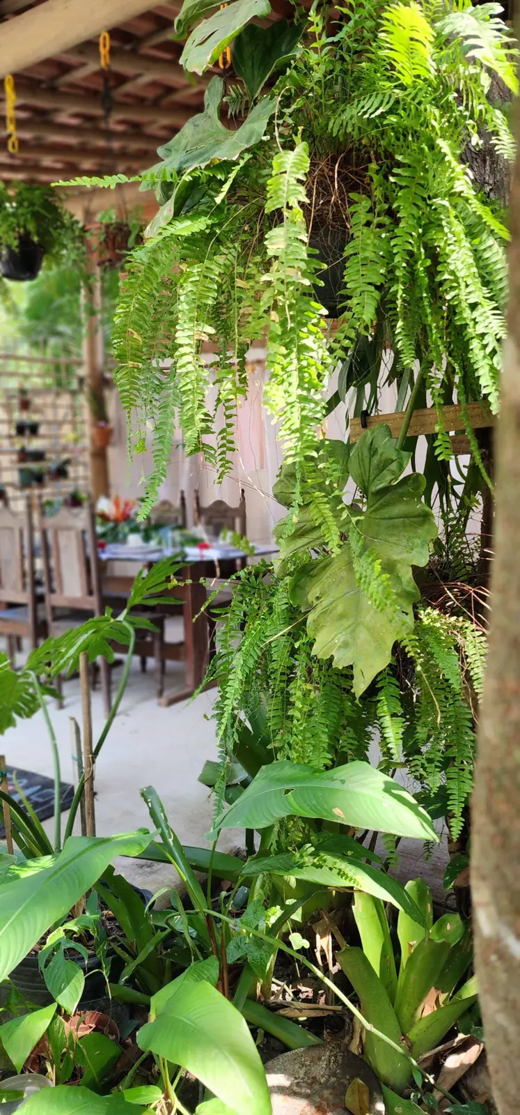 Espaço gourmet coberto da hospedagem em Trancoso BA com samambaias e mesa para refeições